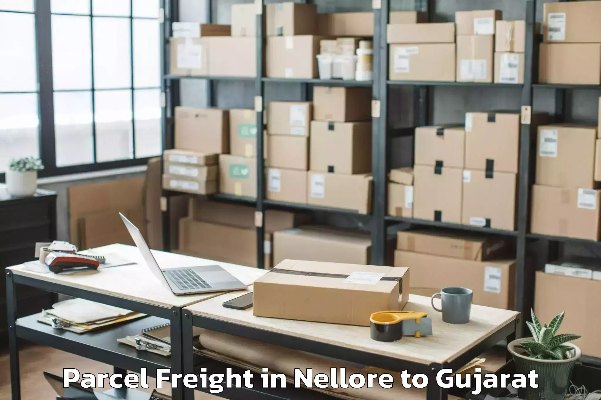 Trusted Nellore to Kamdhenu University Gandhinaga Parcel Freight